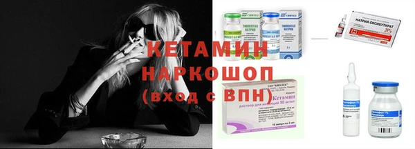 крисы Козловка