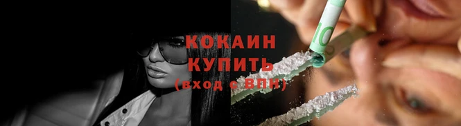 крисы Козловка
