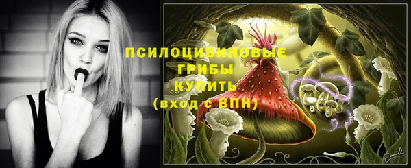 крисы Козловка