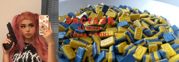крисы Козловка