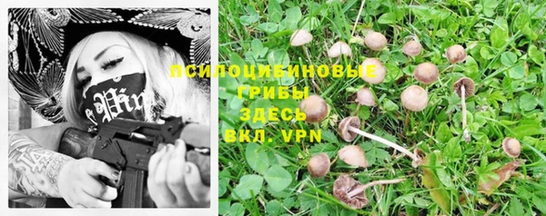 крисы Козловка