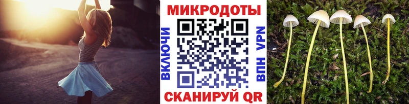 Купить где  Верхняя Салда  Псилоцибиновые грибы Magic Shrooms 