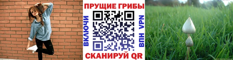 Галлюциногенные грибы Magic Shrooms Верхняя Салда