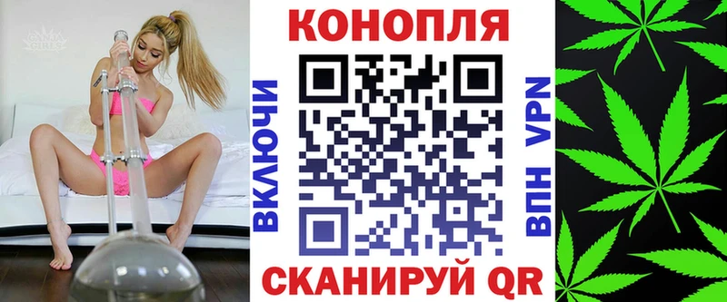 Конопля OG Kush  Купить  Верхняя Салда 